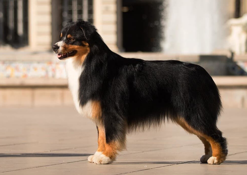 photo de [object Object]