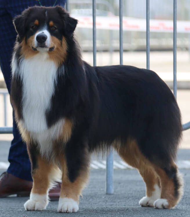 photo de [object Object]