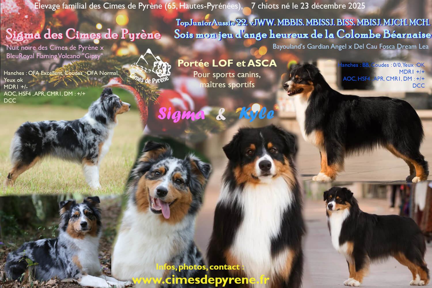 Montage photos de la portée